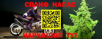 СК Новокубанск