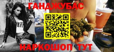 мдпв Новозыбков