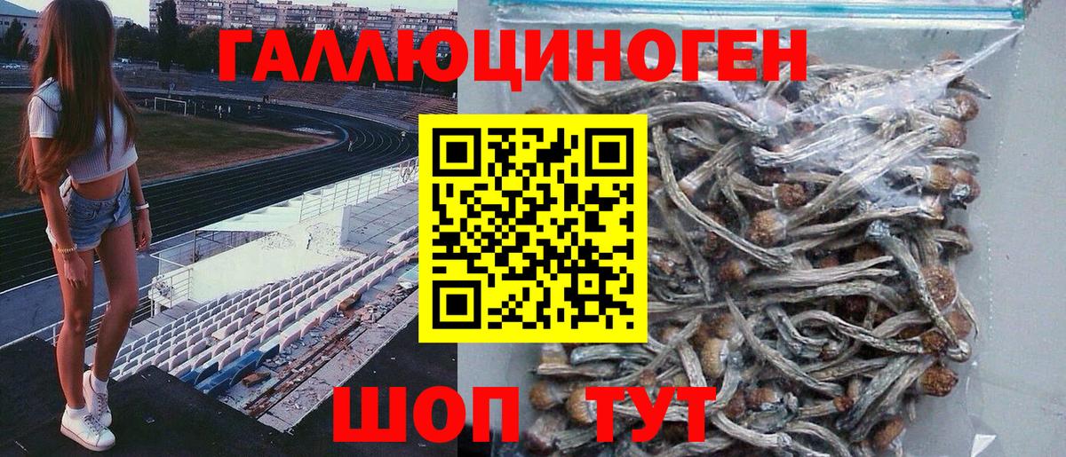Прокопьевск  Галлюциногенные грибы мицелий  Вход с VPN 