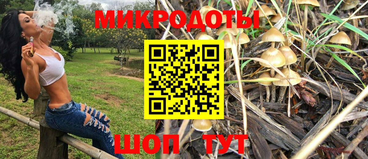 Псилоцибиновые грибы MAGIC MUSHROOMS Прокопьевск